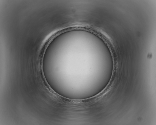 X0000094461310200711081050