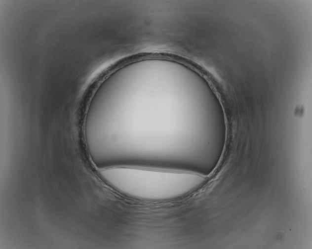 X0000094461311200711081050