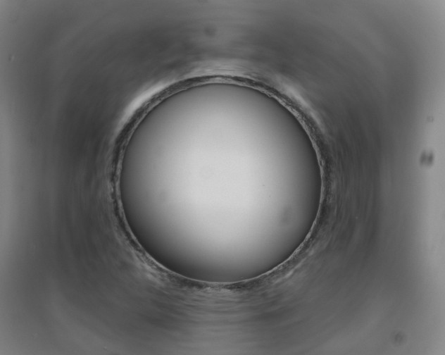 X0000094461312200711081050