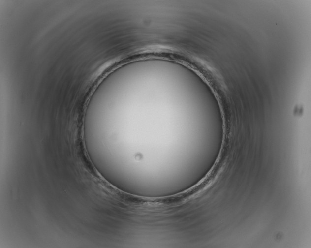 X0000094461313200711081050