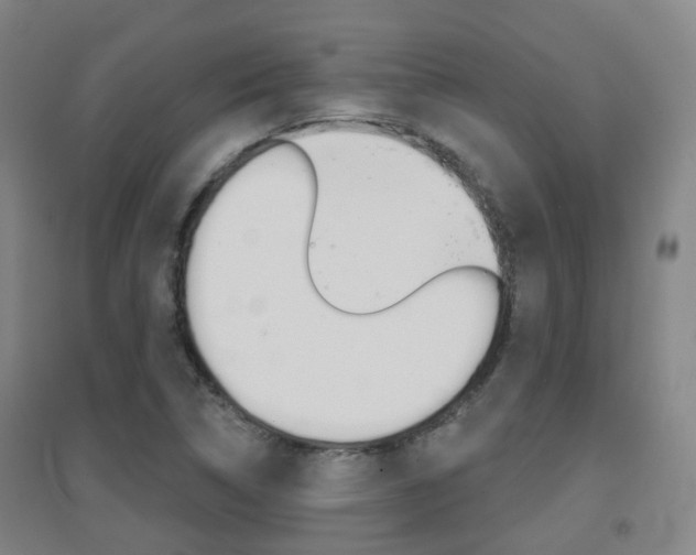 X0000094461314200711081050