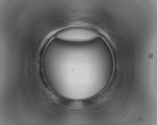 X0000094461315200711081050