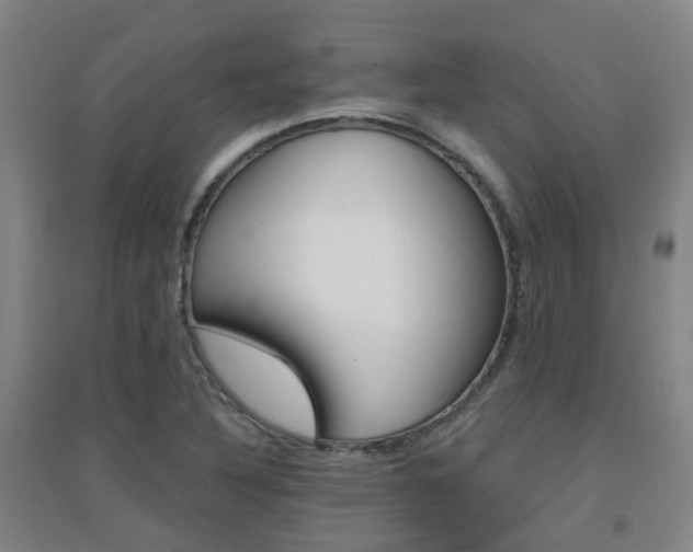 X0000094461316200711081050