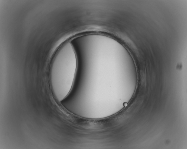 X0000094461318200711081050