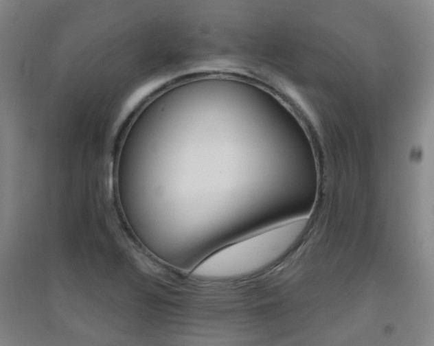X0000094461320200711081050