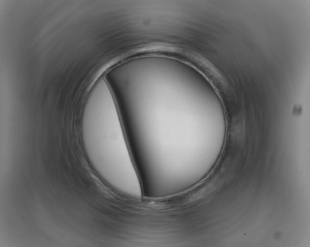 X0000094461321200711081050
