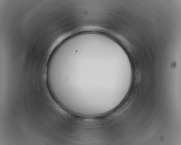 X0000094461322200711081050