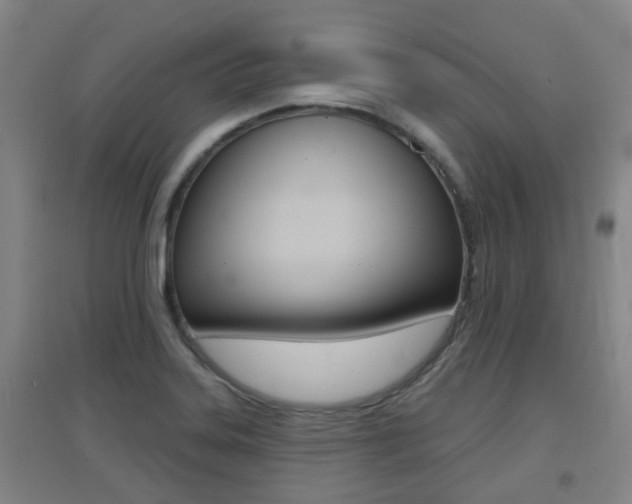 X0000094461323200711081050