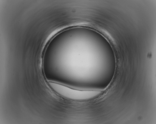 X0000094461324200711081050