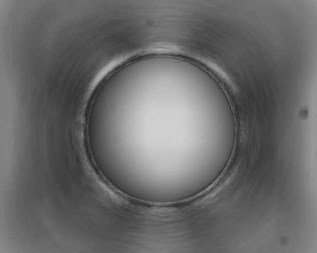 X0000094461325200711081050