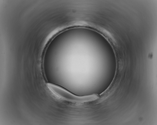 X0000094461326200711081050