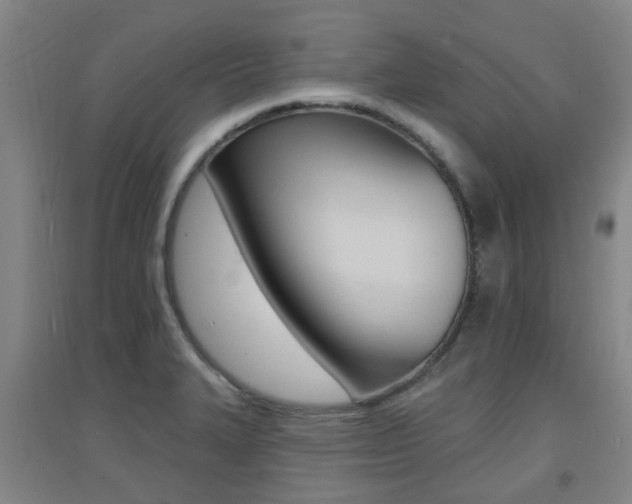 X0000094461327200711081050