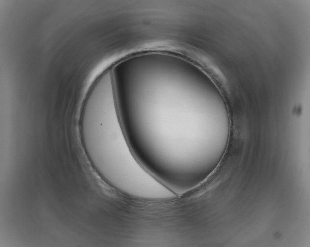 X0000094461328200711081050