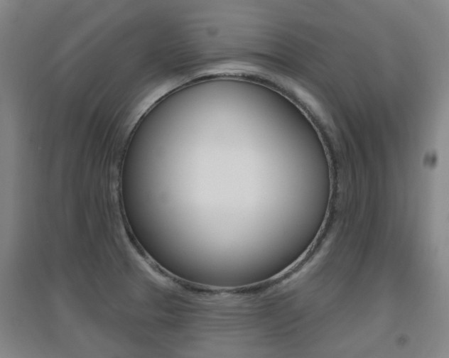 X0000094461329200711081050