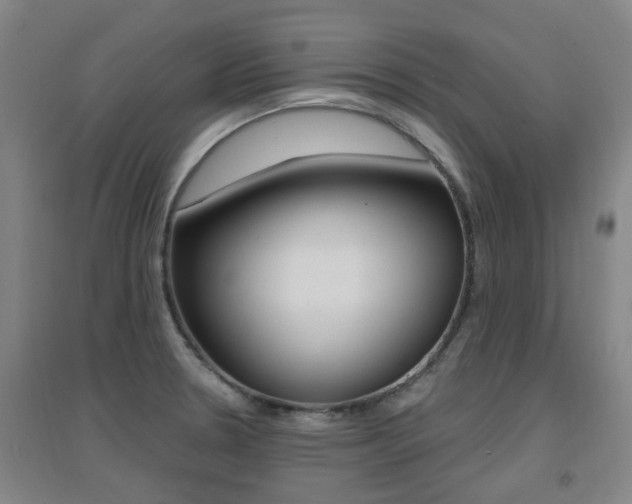 X0000094461330200711081050