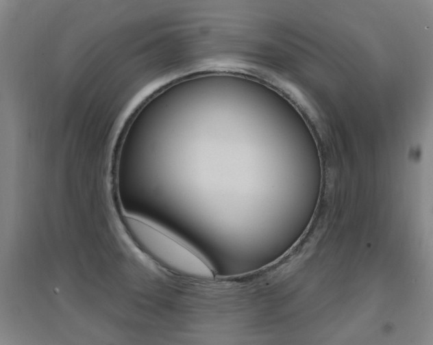 X0000094461331200711081050