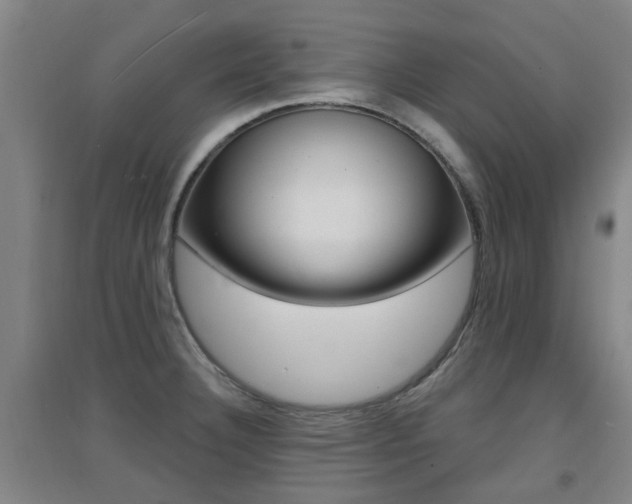 X0000094461332200711081050
