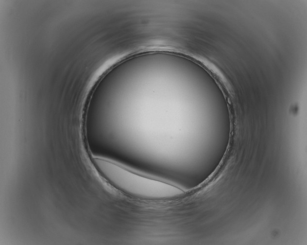 X0000094461333200711081050