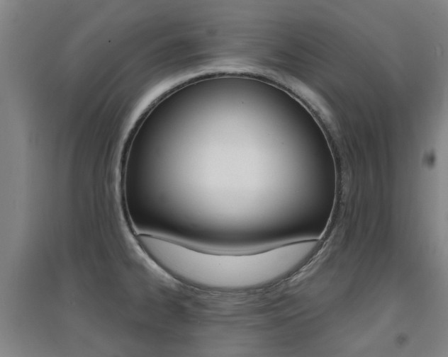 X0000094461334200711081050