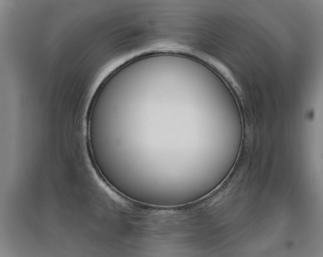 X0000094461335200711081050