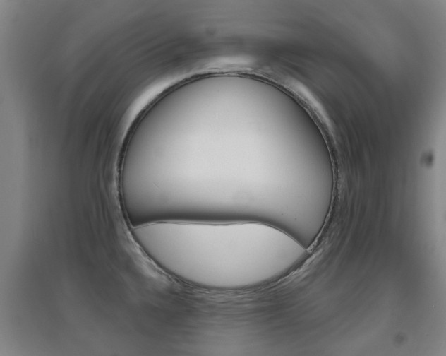 X0000094461336200711081050