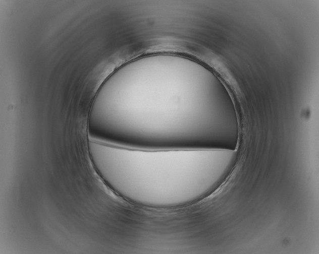 X0000094461337200711081050