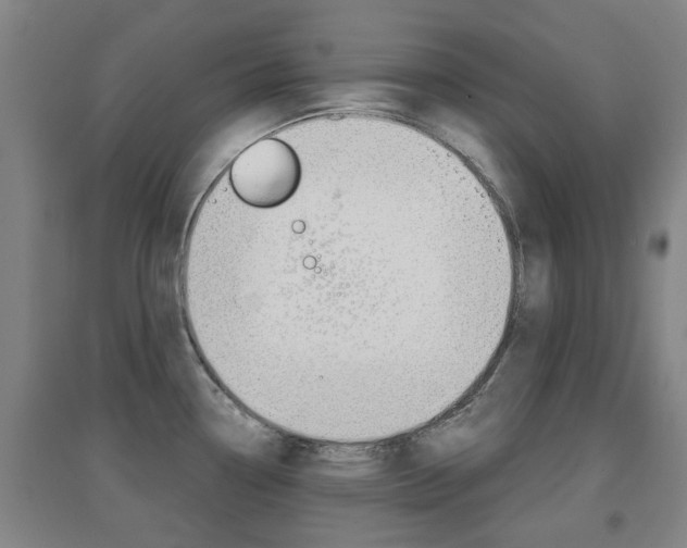 X0000094461338200711081050