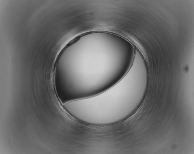 X0000094461340200711081050