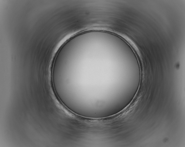 X0000094461341200711081050