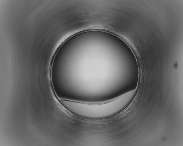 X0000094461342200711081050
