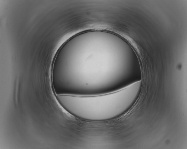 X0000094461343200711081050