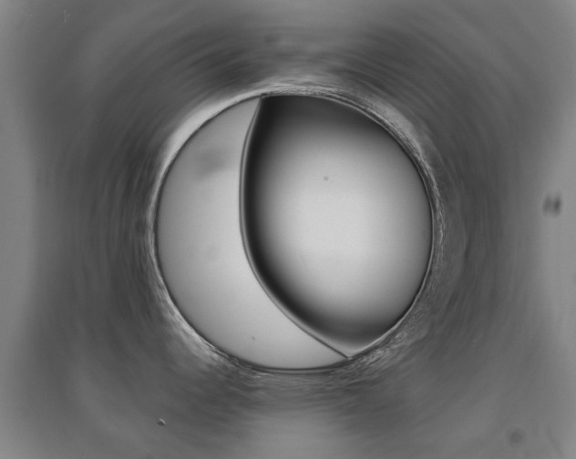 X0000094461344200711081050