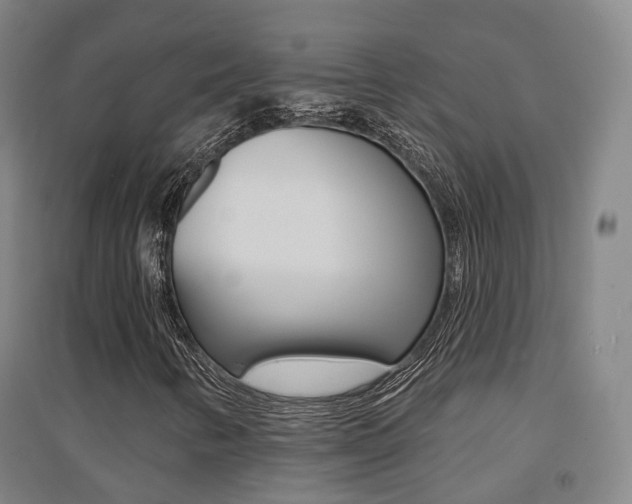 X0000094461346200711081049