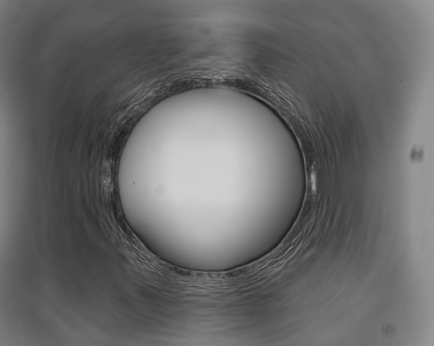 X0000094461347200711081049