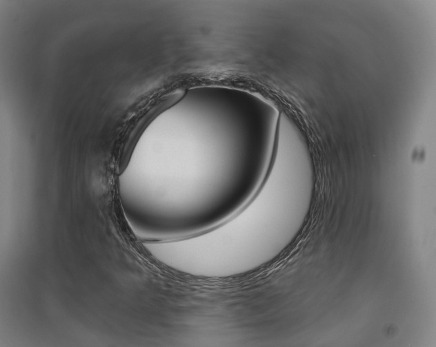 X0000094461349200711081049