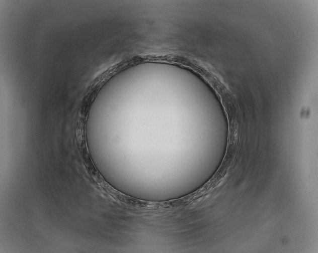 X0000094461350200711081049