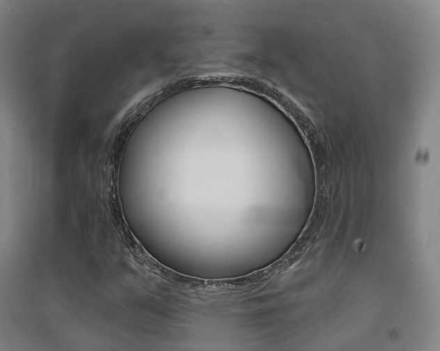 X0000094461351200711081049