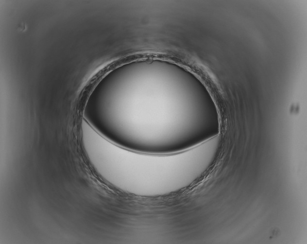 X0000094461352200711081049