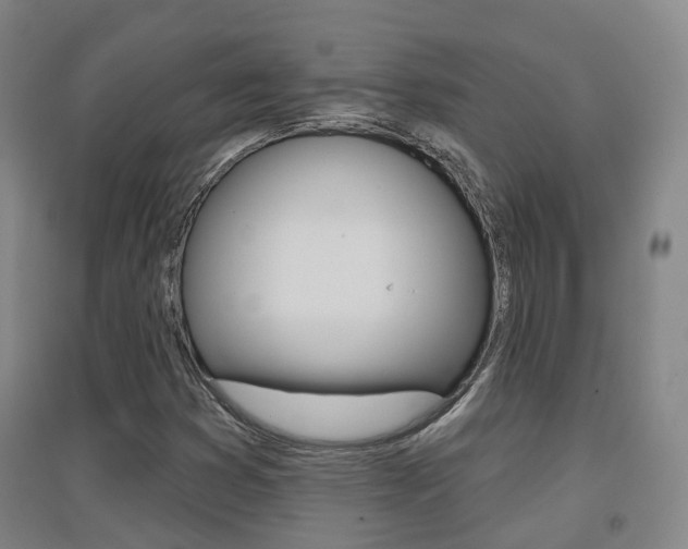 X0000094461353200711081049
