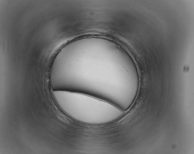 X0000094461355200711081049