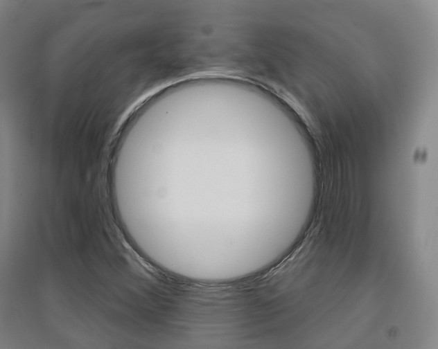 X0000094461356200711081049