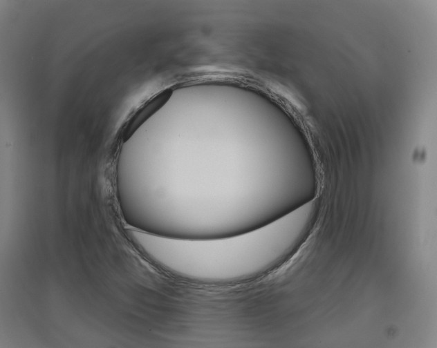 X0000094461357200711081049