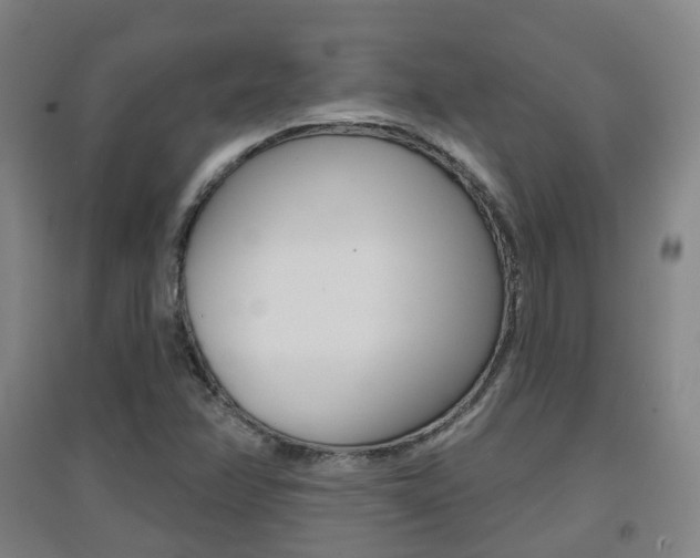 X0000094461358200711081049