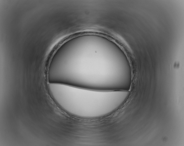 X0000094461360200711081049