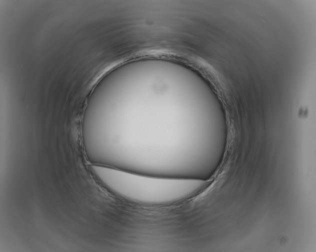X0000094461361200711081049