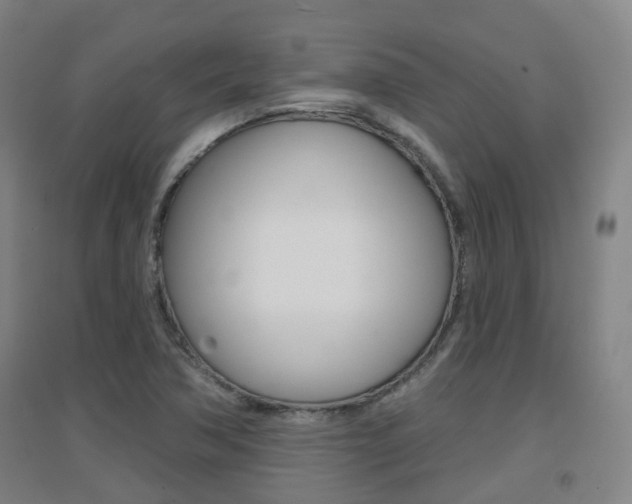 X0000094461362200711081049
