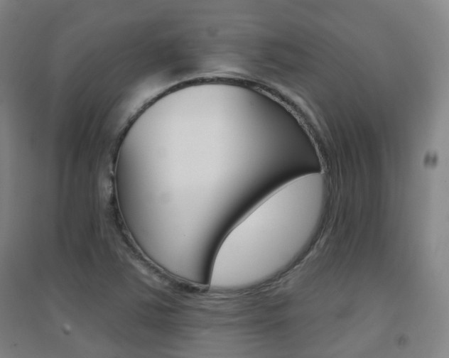 X0000094461363200711081049