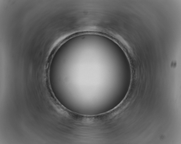 X0000094461364200711081049