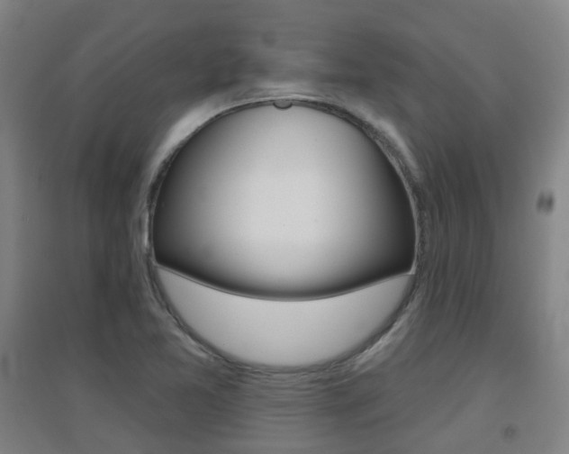X0000094461365200711081049