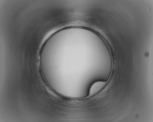 X0000094461366200711081049